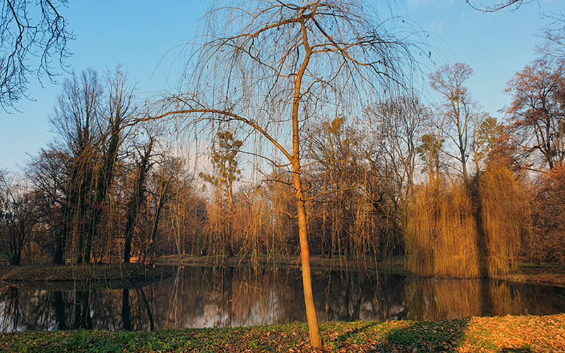 Im Schlosspark von Kremsier