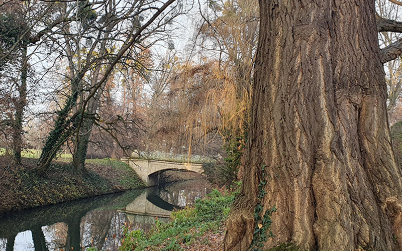 Im Schlosspark von Kremsier