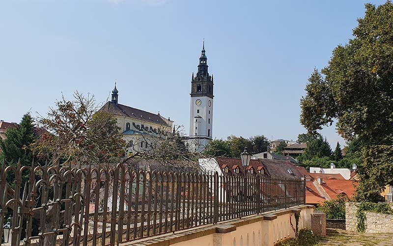 Blick zum Dom von der Stadtmauer 