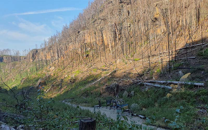 Noch immer sind die verheerenden Folgen des Waldbrands zu sehen