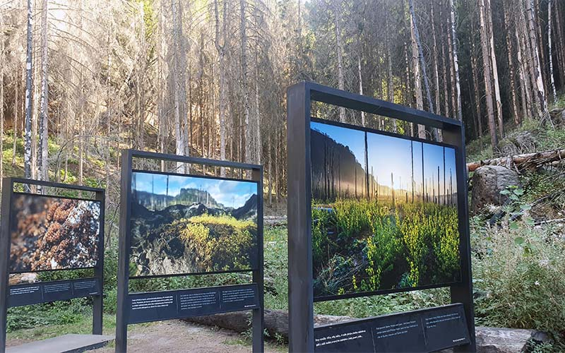 Viel Wissenswertes über den Wald gibt es gleich am Anfang des Weges