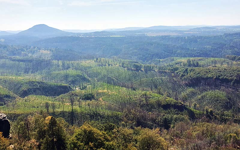 Blick in die Umgebung