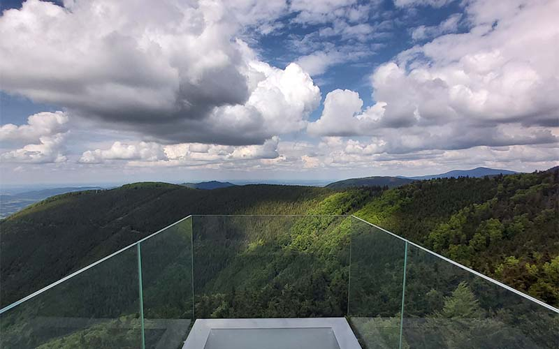 Ein Blick vom Skywalk in die Landschaft