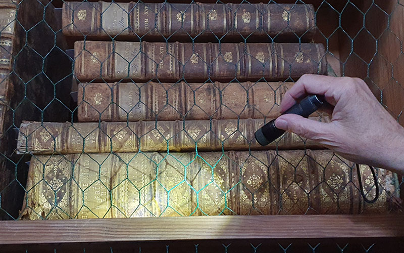 In der Bibliothek von Schloss Kačina