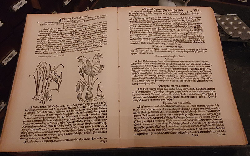 Wertvolle Bücher und Zeitschriften lagern hier