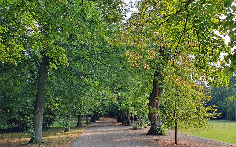 Allee im Schlosspark