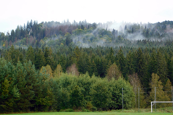 Blick zum Böhmerwald