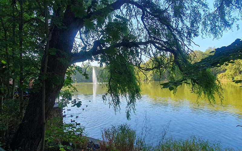 Der Teich im Schlosspark