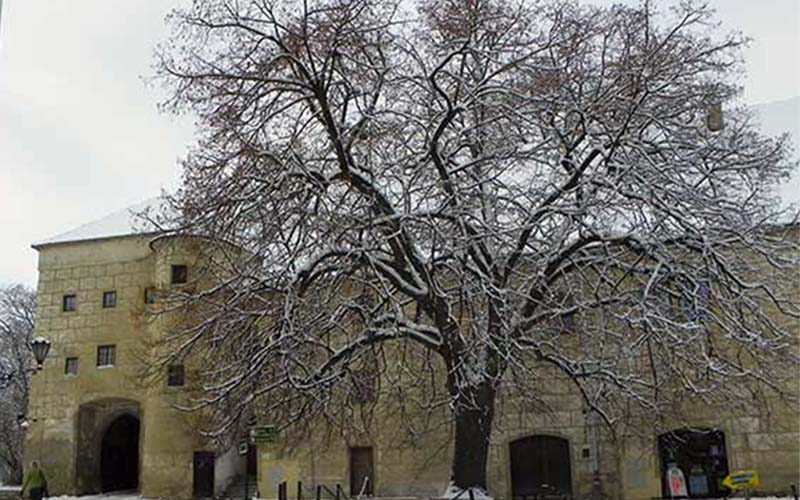 Das Waldsteinschloss