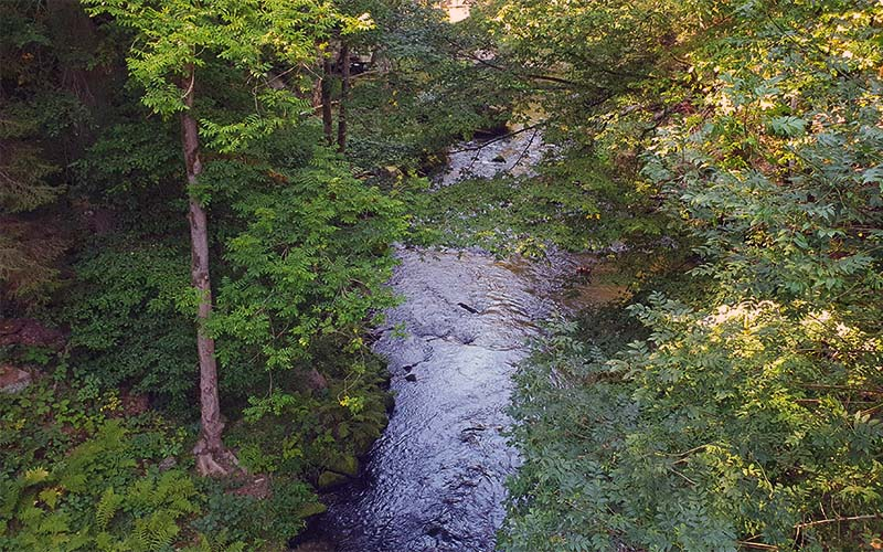 Wilde Klamm