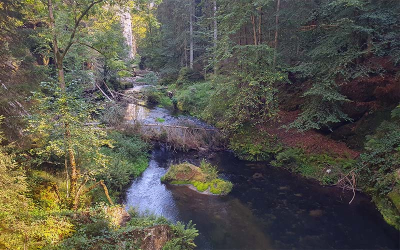 In der Wilden Klamm