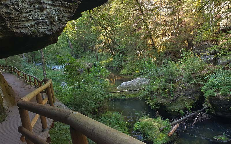 Wilde Klamm