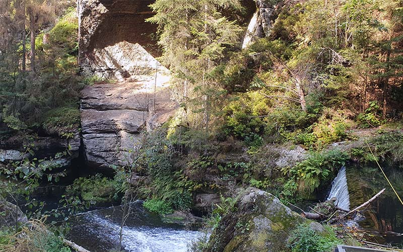 Wilde Klamm