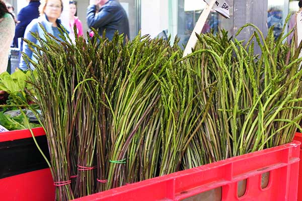 Wilder Spargel vom Markt in Koper
