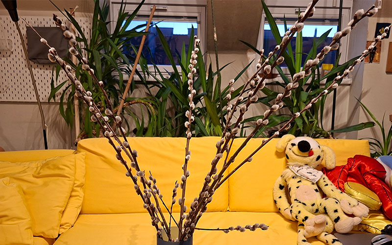 Noch ist er leer - aber nicht mehr lange ...