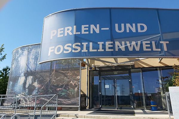 Die Fossilienwelt in Stetten