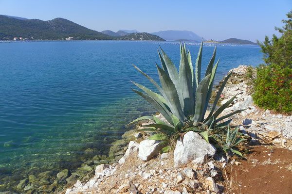 Ein kleiner, ruhiger Ort in Dalmatien