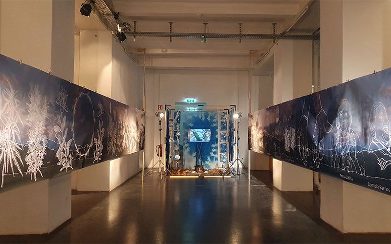 Was zwischen uns wächst - Die neue Ausstellung in den SOHO-Studios in Ottakring